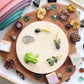 Life Cycle of a Frog Figurine Set