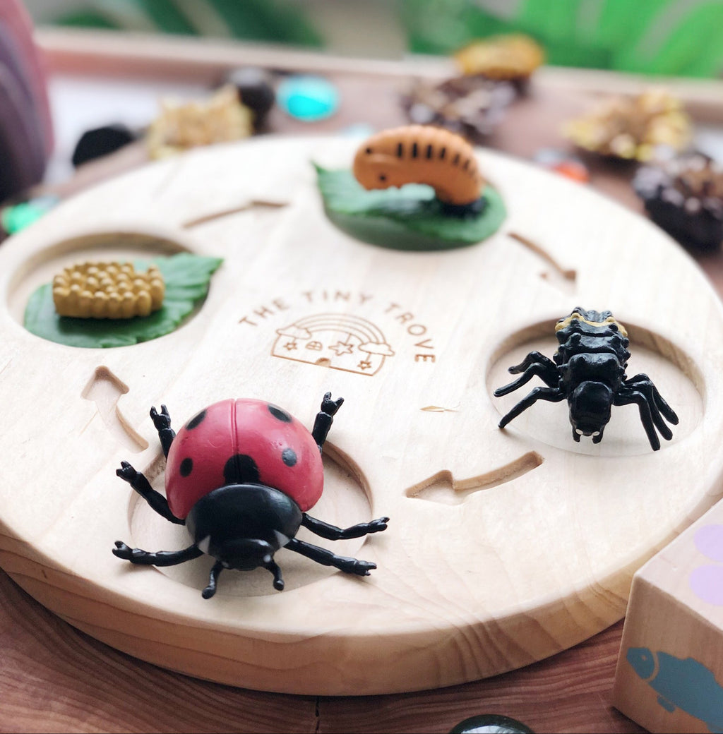 The Tiny Trove Wooden Life Cycle Learning Tray
