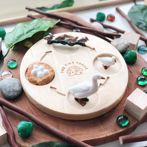 Life Cycle of a Duck Figurine Set