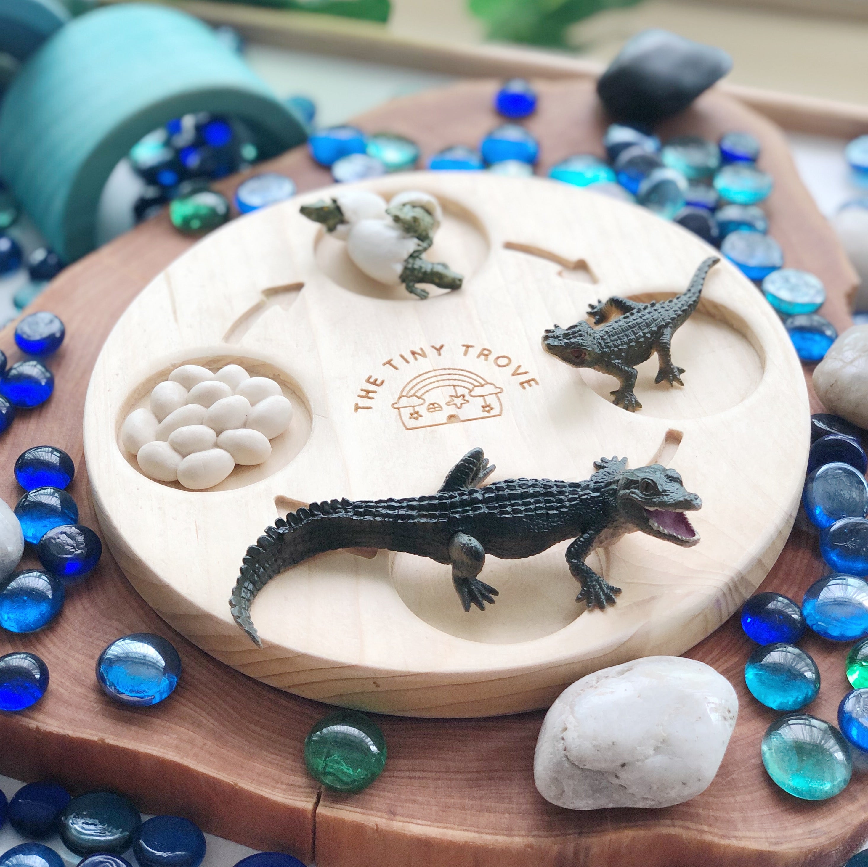 Life Cycle of a Crocodile Figurine Set